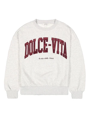 V260265 Ladies Sweater Grijs